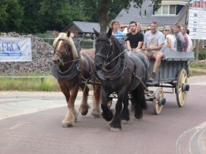 labuitje2015_horses